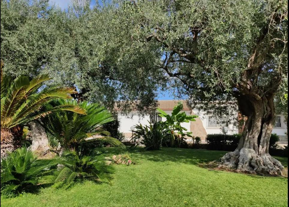 Villa Antonella Аугуста Екстериор снимка